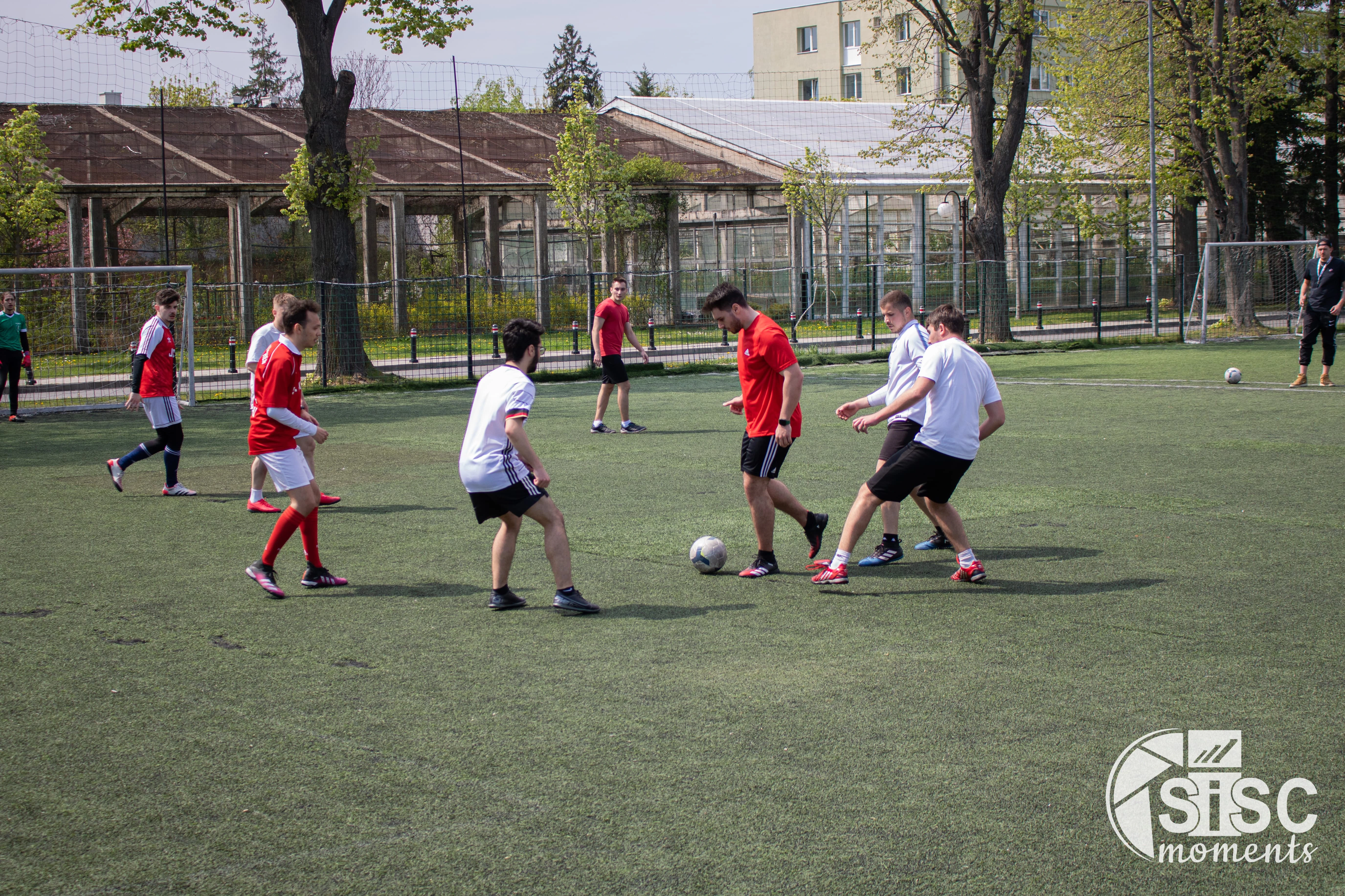 Sport 